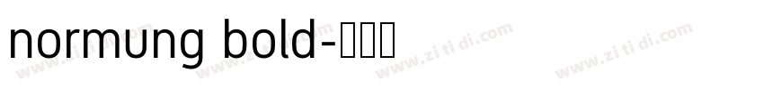 normung bold字体转换